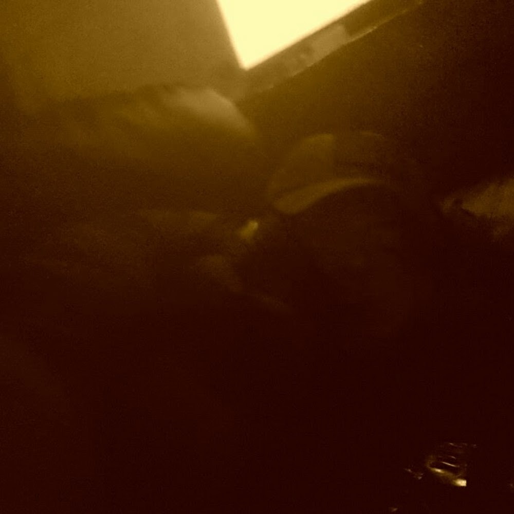 Meet your Posher, Mrthorain